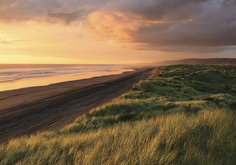 Solnedgang strandlandskap vinyl teppe natur - Tenstickers