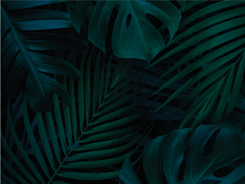 Tropisk løvverk blomst vinyltepper - Tenstickers