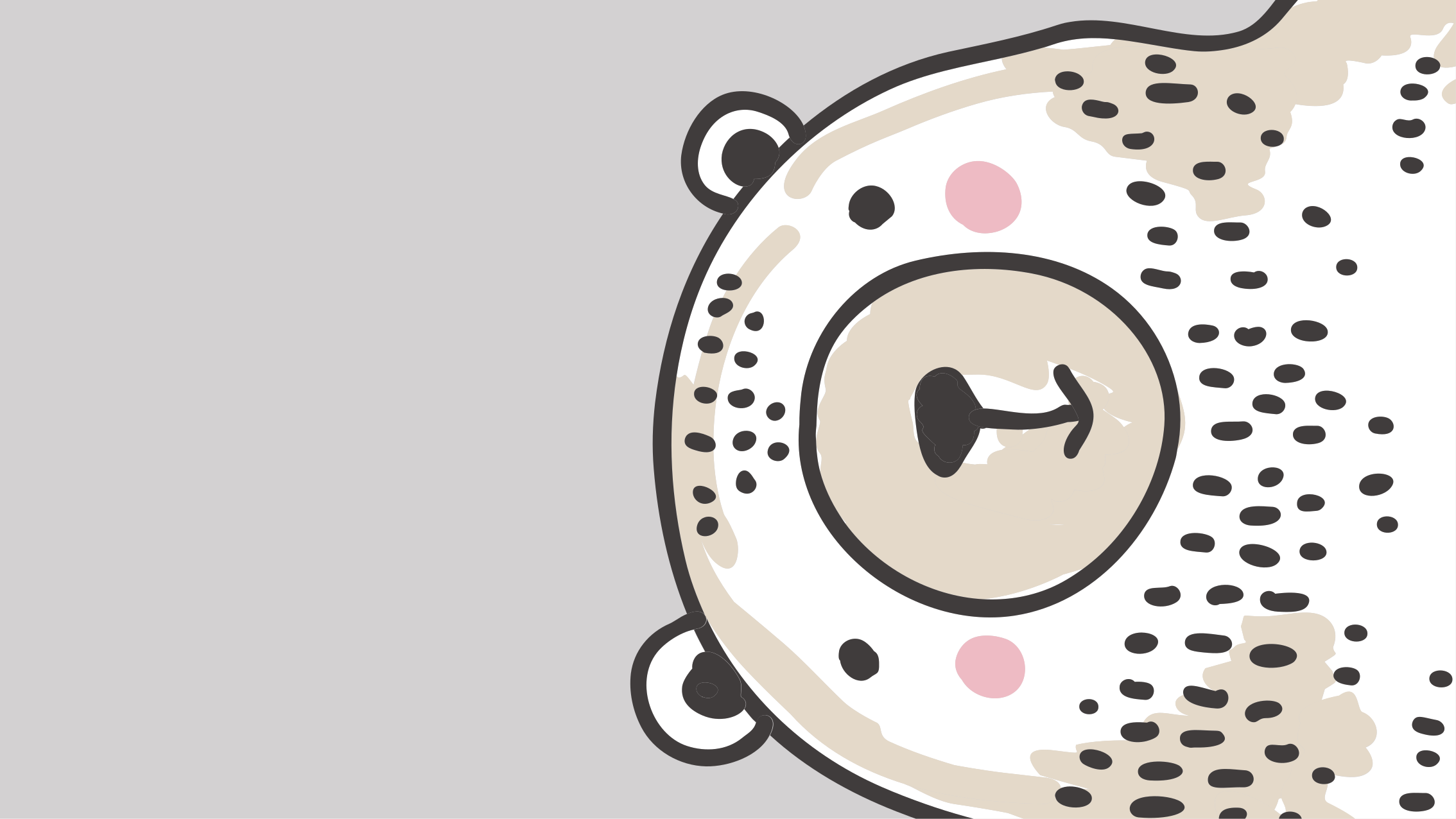 Hvit bjørn grå bakgrunn vinyl teppe dyr - Tenstickers