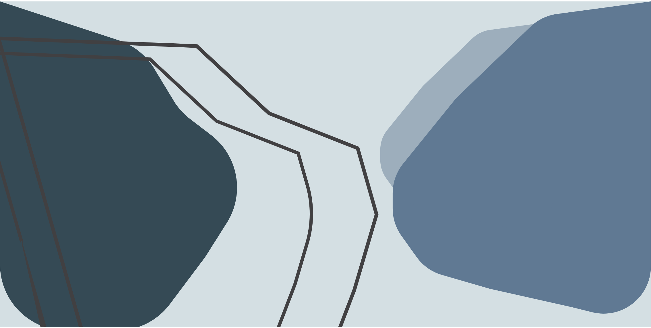 Abstrakte konturlinjer vinyl teppe geometrisk - Tenstickers