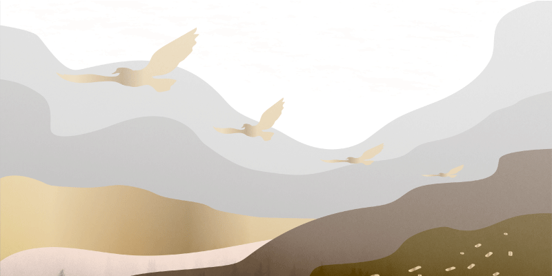 Gullfugler i tåken vinyl teppe moderne - Tenstickers