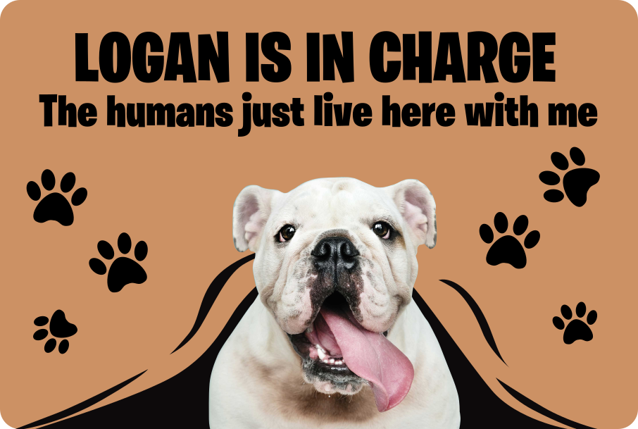 Tilpasset foto kjæledyr vinyl teppe mottak - Tenstickers