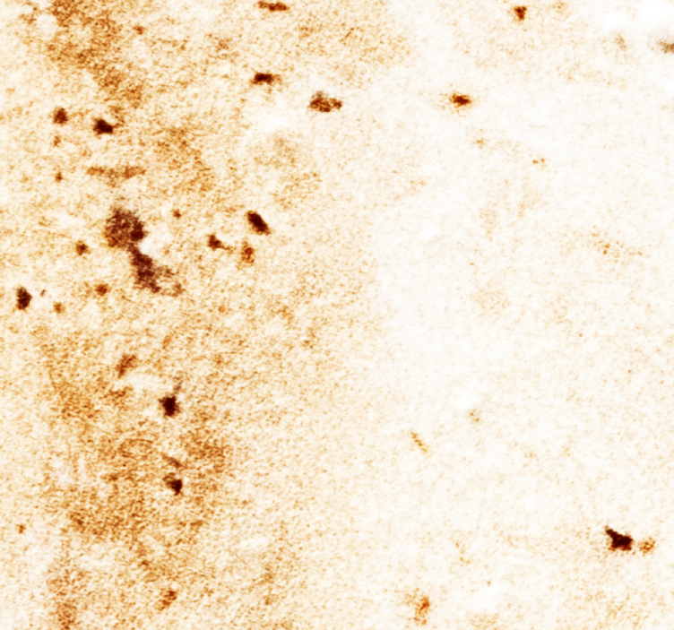 Myk marmor tekstur marmor tapet - Tenstickers