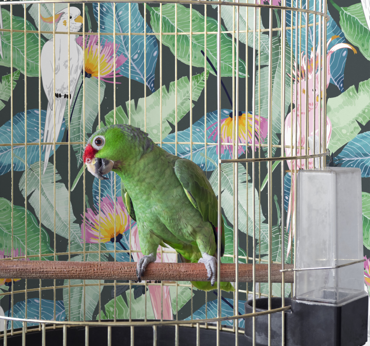 Tropiske fugler og blader fugletapet - Tenstickers